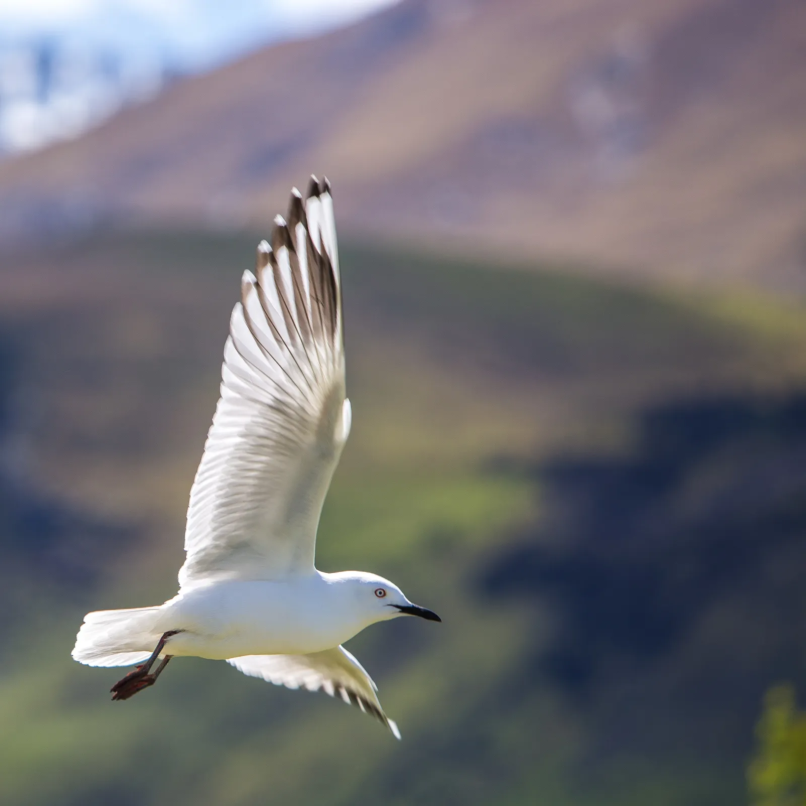 rod-long-F0CW4F8ut3U-unsplash